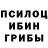 Галлюциногенные грибы Psilocybine cubensis Grigore Ilko
