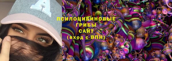 твердый Арсеньев