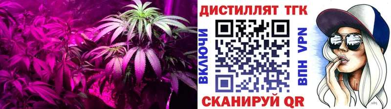 ТГК гашишное масло  Рудня 
