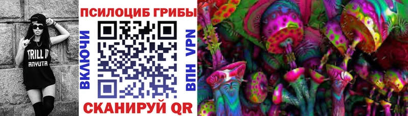 mega онион  Рудня  Галлюциногенные грибы Psilocybe 